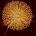 GOLDEN ANGEL 3 3/4" COMETS FANCY CRACKERS